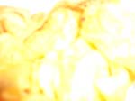 CIMG3663.jpg